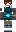 skin of a player