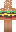 skin of a player