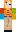 skin of a player