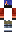 skin of a player