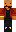 skin of a player