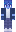 skin of a player