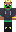 skin of a player