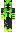 skin of a player