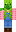 skin of a player