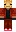 skin of a player