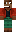 skin of a player