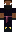 skin of a player