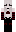 skin of a player