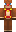 skin of a player
