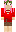 skin of a player
