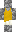 skin of a player