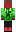skin of a player
