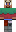 skin of a player