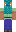 skin of a player