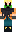 skin of a player
