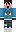 skin of a player