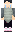 skin of a player