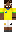 skin of a player