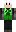skin of a player