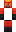 skin of a player