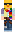 skin of a player