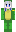 skin of a player