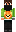skin of a player