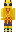 skin of a player