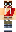 skin of a player