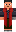 skin of a player
