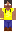 skin of a player