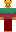skin of a player