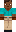 skin of a player
