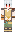 skin of a player