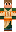 skin of a player