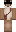 skin of a player