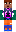 skin of a player