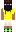 skin of a player