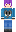 skin of a player