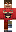 skin of a player