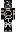 skin of a player