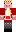 skin of a player