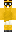 skin of a player