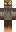 skin of a player