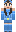 skin of a player