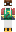 skin of a player
