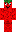 skin of a player