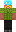 skin of a player