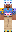 skin of a player